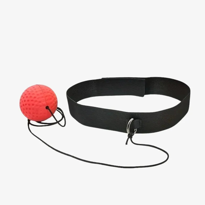 PunchMaster Reflex Trainer