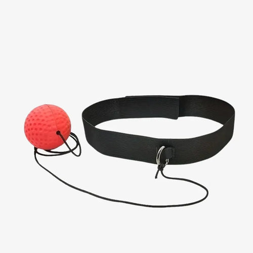 PunchMaster Reflex Trainer