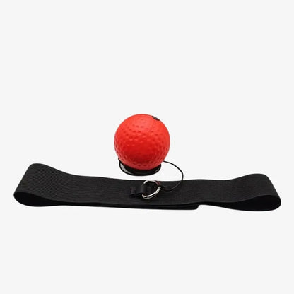 PunchMaster Reflex Trainer