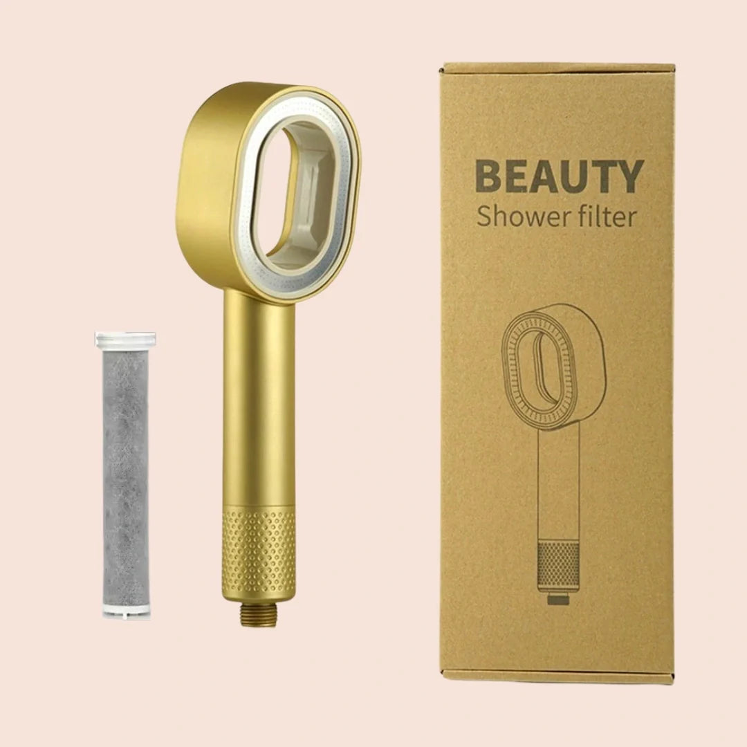 Filter shower head